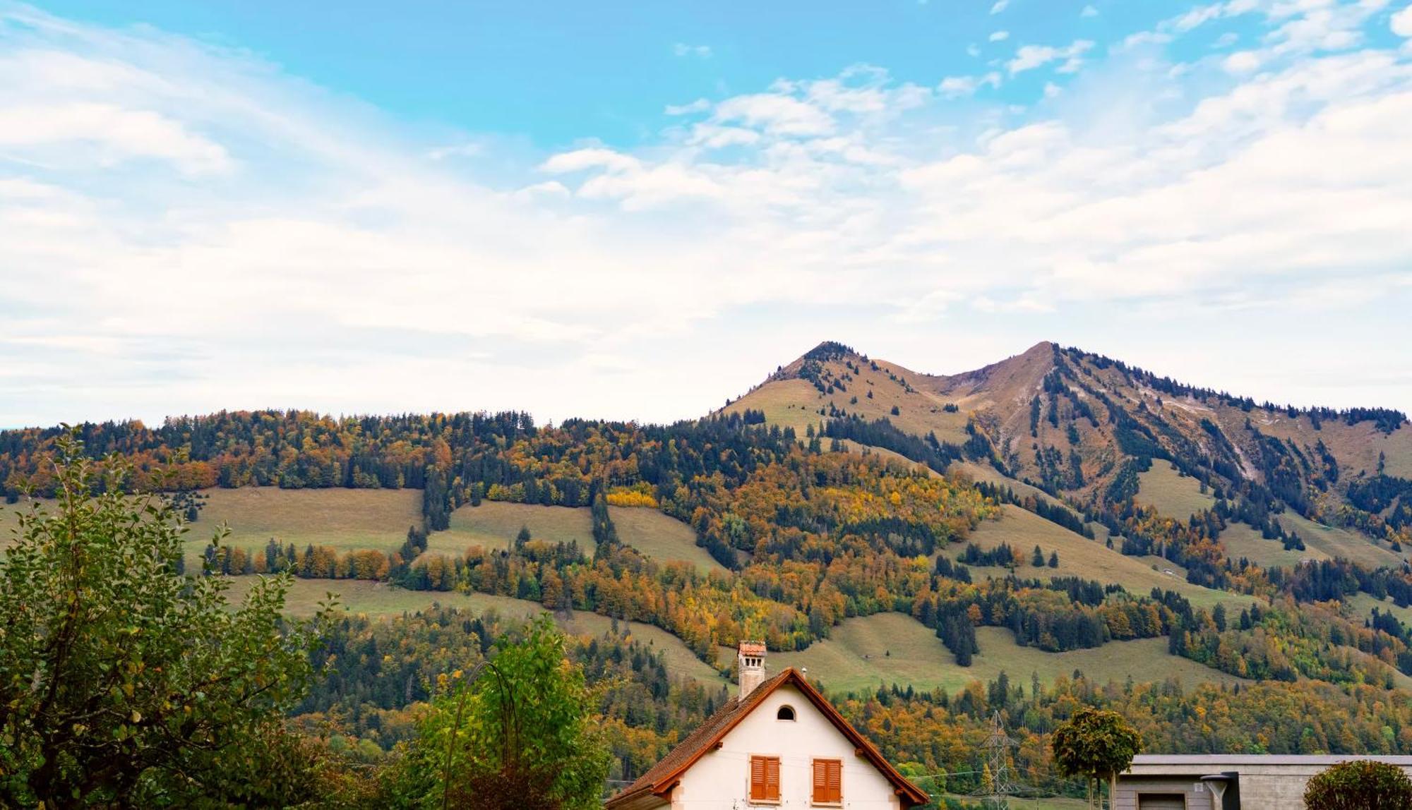 Gruyere Alpes Appartement 3 Chambres Bbq Parking Neirivue 外观 照片