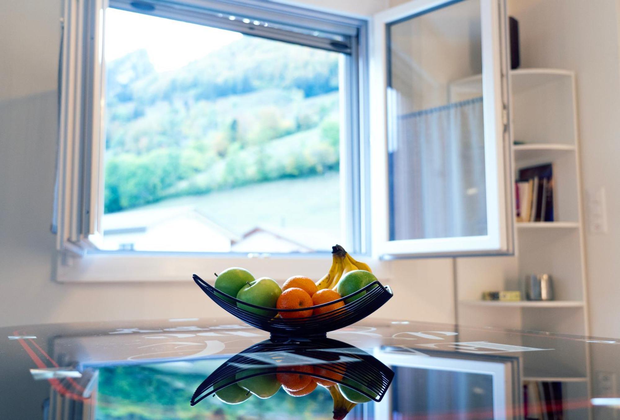 Gruyere Alpes Appartement 3 Chambres Bbq Parking Neirivue 外观 照片